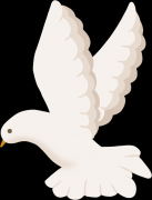 他亲自记录数据、突破技术瓶颈