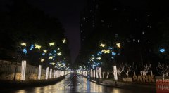 树枝上缀满闪烁的灯串