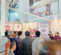 到石材相关人工制品、园林绿化石材