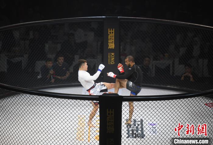 后亚运元年：浙江体育赛事如何以多元化与情感